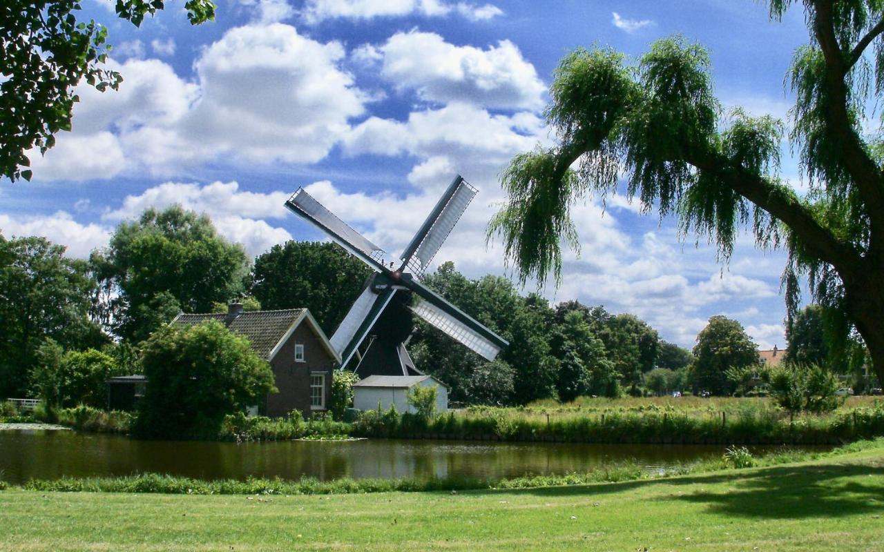 Bed & Breakfast Tegenover De Molen 哈莱姆 外观 照片