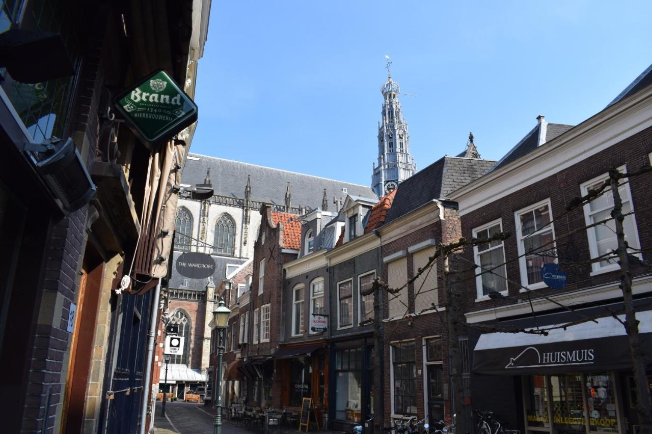 Bed & Breakfast Tegenover De Molen 哈莱姆 外观 照片